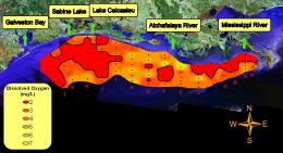 Fancy kjole Øl Vellykket Scientists find changes to Gulf of Mexico dead zone