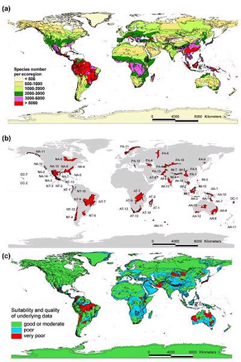 Species richness by biogeographical area and provinces