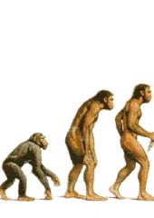 Report: Humans evolved to be peaceful