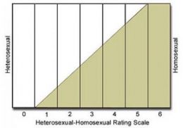 kinsey scale test real