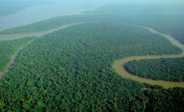 How much of the Amazon rainforest would it take to print the Internet?