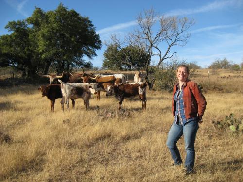 Human Cattle Ranch