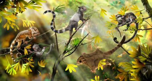 Three extinct squirrel-like species discovery supports earlier origin of  mammals in late Triassic