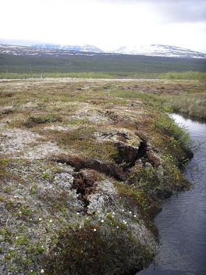 Study suggests melting of Arctic permafrost may release massive amounts of nitrous oxide
