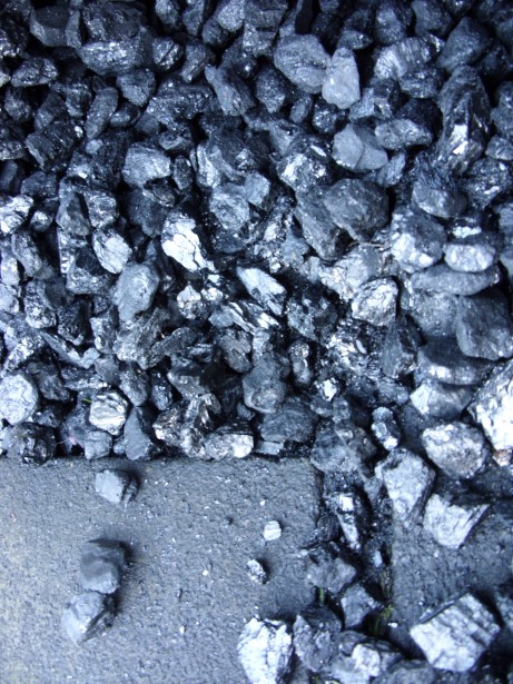 Making bio-coal from plant waste to mitigate climate change - Phys.org