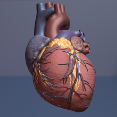 Phase I trial demonstrates first pharmacological treatment able to improve cardiac function in stiff-heart syndrome