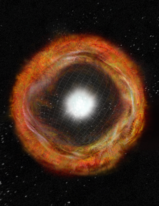 How quickly does a supernova happen?