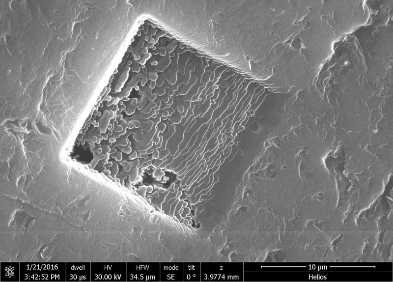 3-D graphene has promise for bio applications: Team welds nanoscale sheets to form tough, porous material