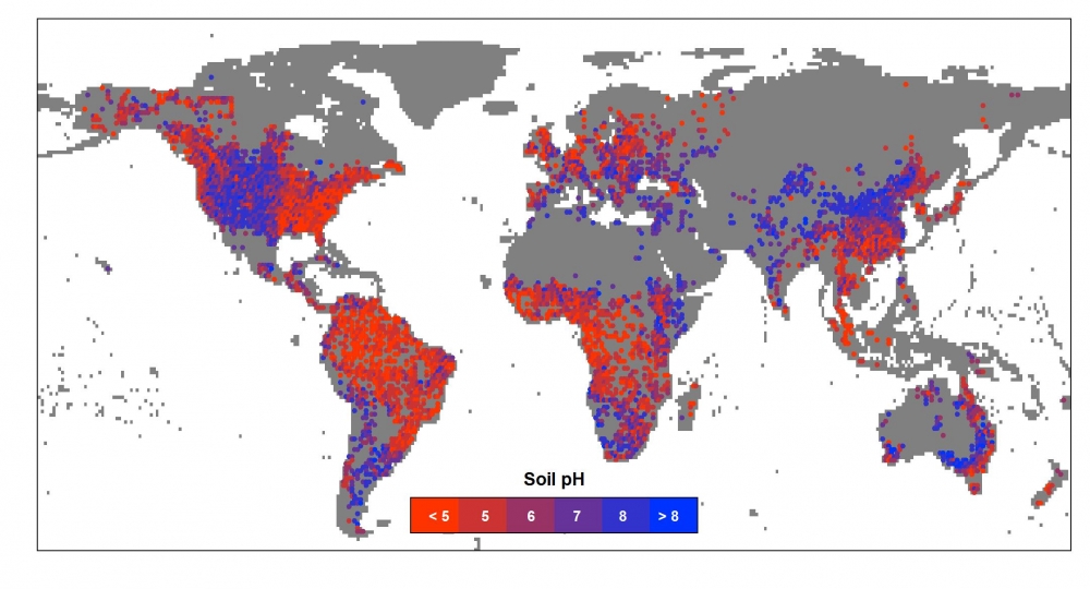 Researchers Create Global Map Of Soil Ph And Illuminate How It
