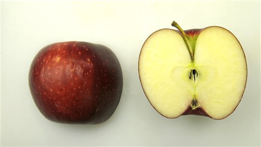 Opal Apples - General Fruit Growing - Growing Fruit