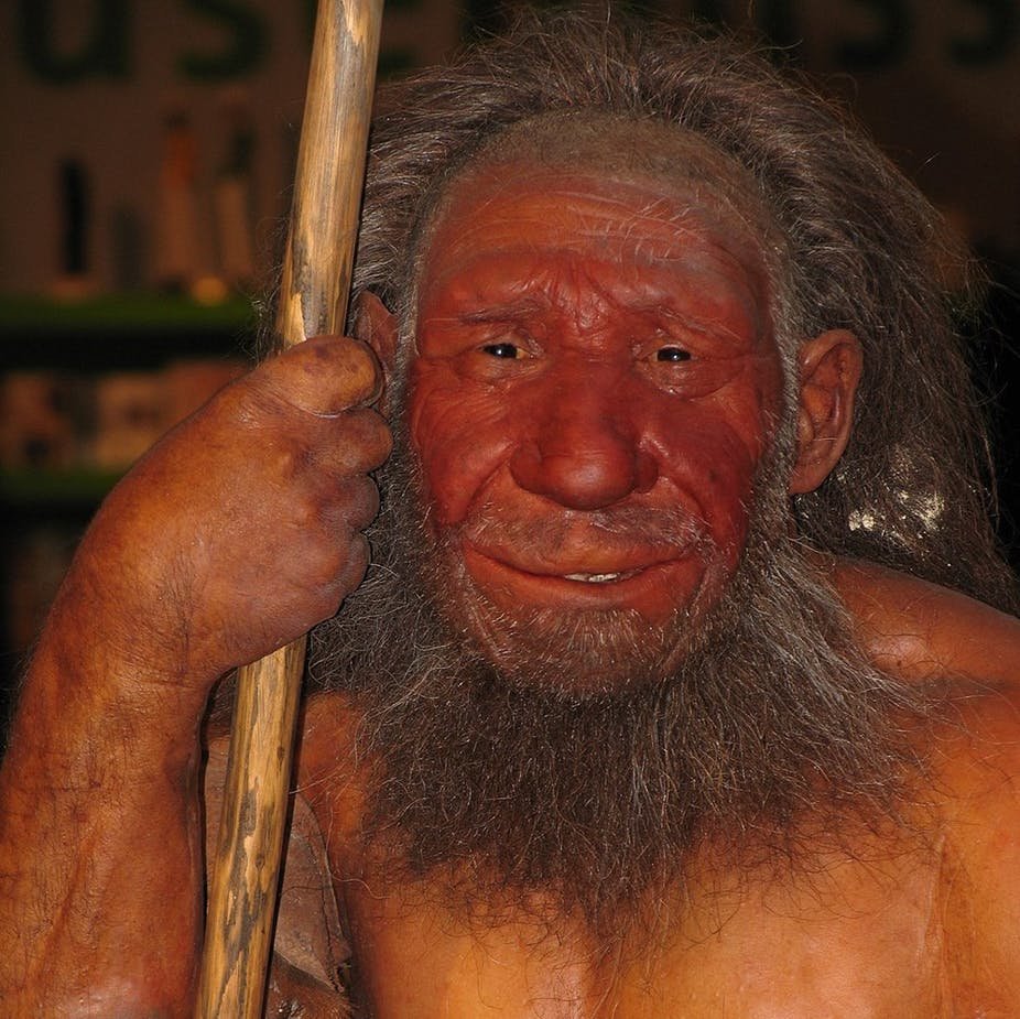 Neanderthals didn't give us red hair but they certainly changed the way we  sleep