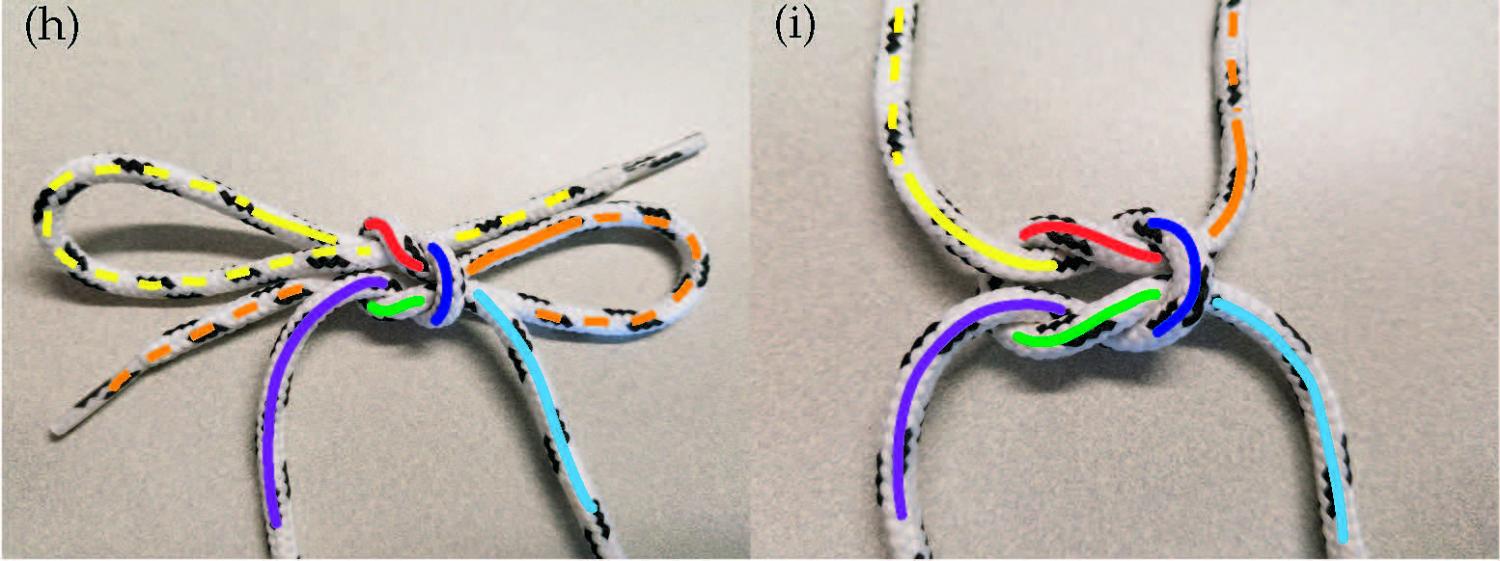How to 'magically' untie a shoelace double knot – Archimedes Lab Project