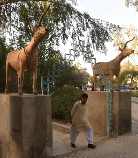 Saving Pakistan's lost city of Mohenjo Daro