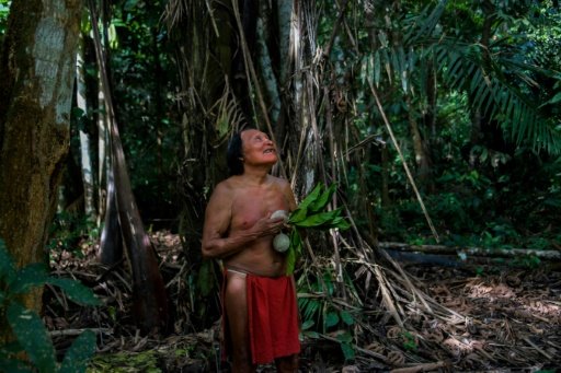 amazon rainforest tribes food