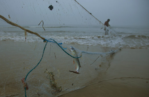 The Fishermans Net  Hawaii Fishing Nets