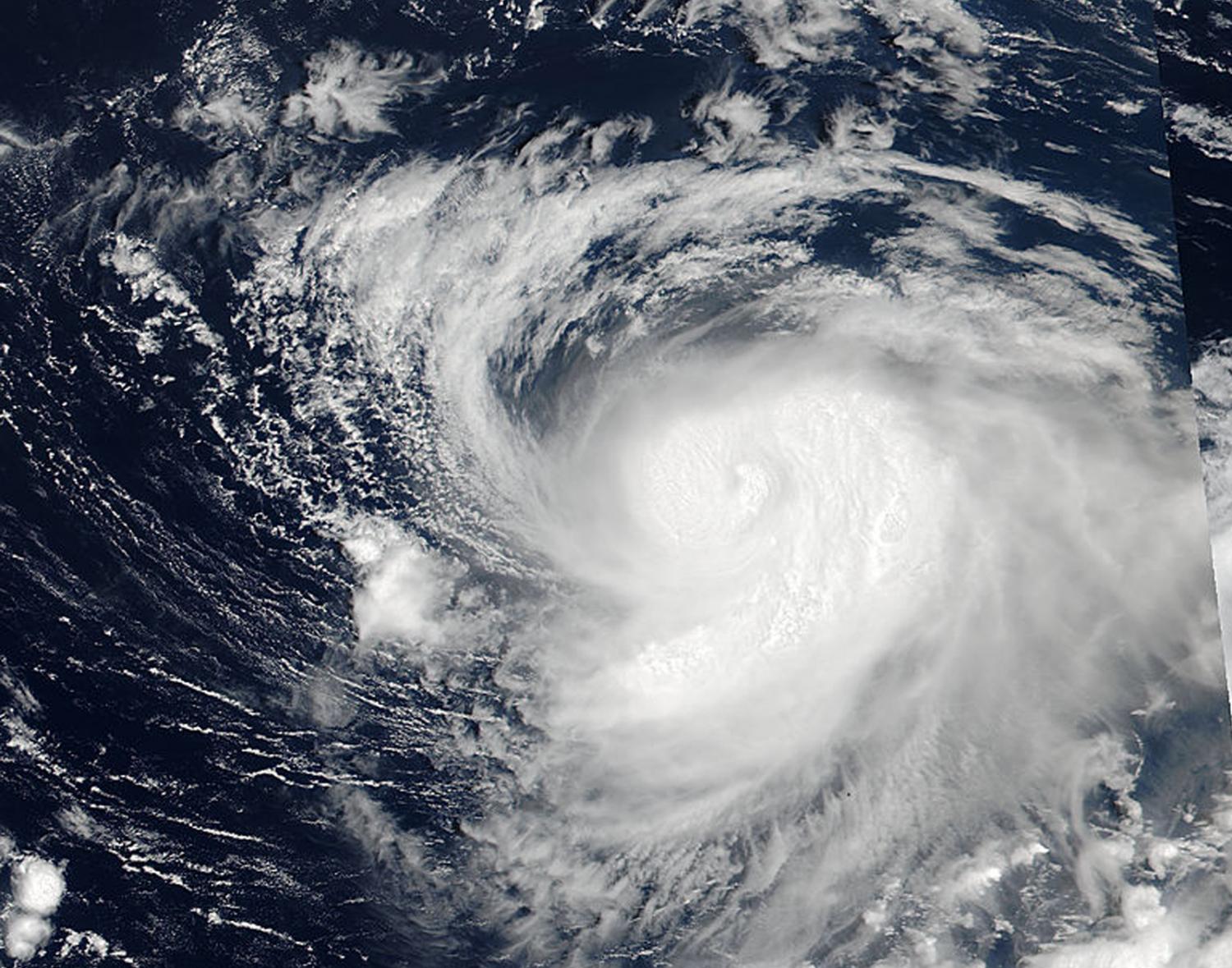 Тихоокеанские Тайфуны