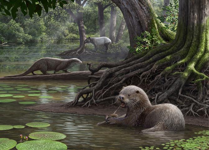 New ancient otter species among largest ever found