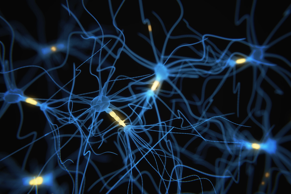 Brain neurons. Нейронная система. Нервная система Нейрон. Нейрон нейросети. Нейрон в нейронной сети.
