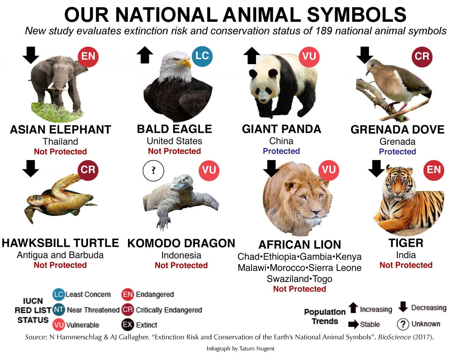 Study shows need for increased protection of world's national animal symbols