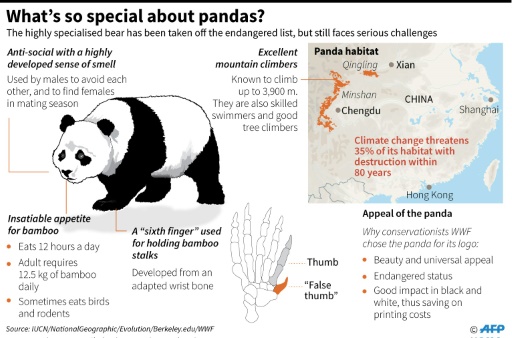 How has China's panda diplomacy evolved and where are its stars