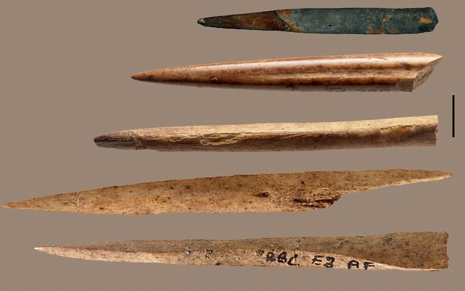 New technology tells us which animal bones were used to make ancient tools