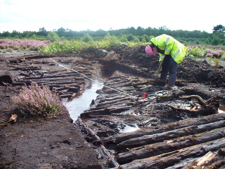 Bogs are unique records of history – here's why