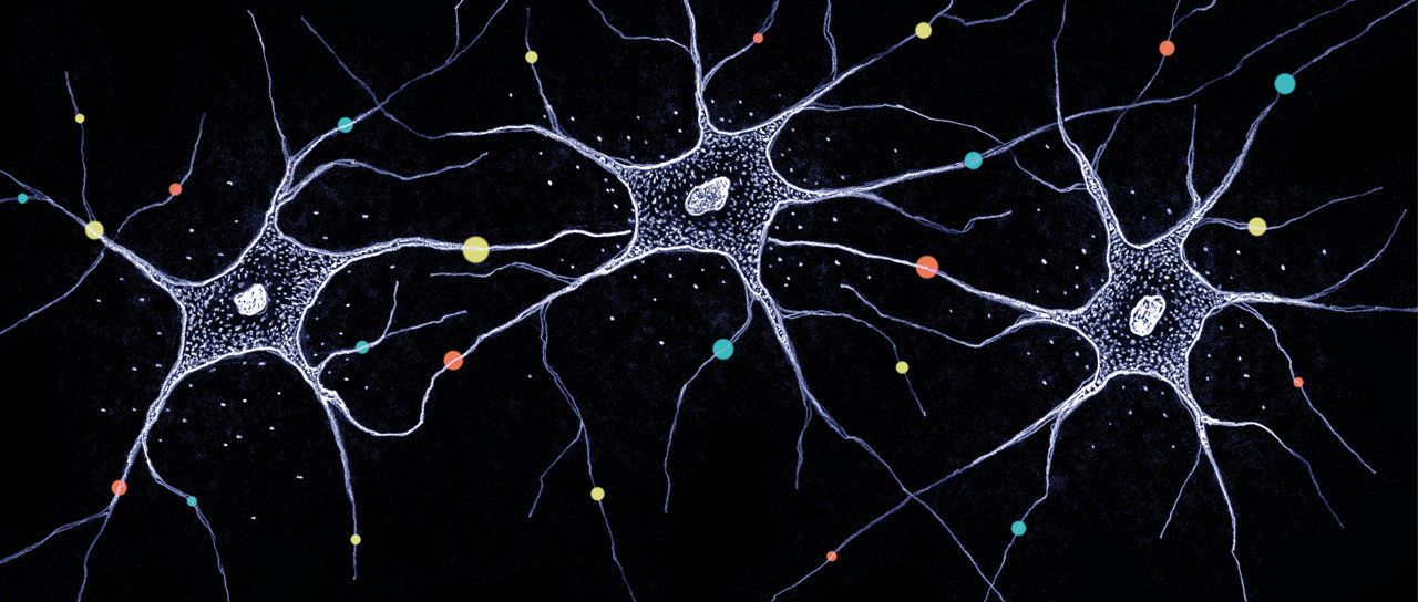 Brain neurons. Клетки мозга Нейроны. Нейрон и нейронные сети 50-е года. Нейронные сети головного мозга. Нейронная клетка.
