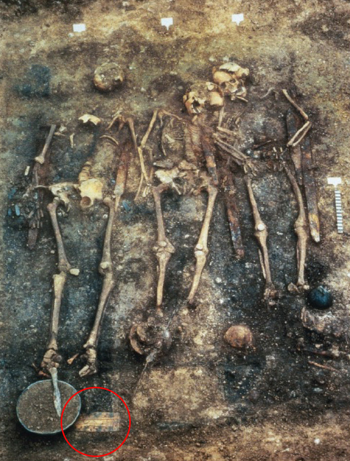 Ancient hominid bone serves up DNA stunner