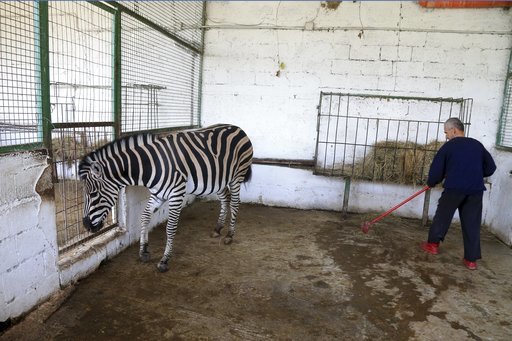 Malnourished' animals report prompts Albania zoo closure
