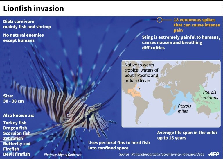 lionfish habitat map