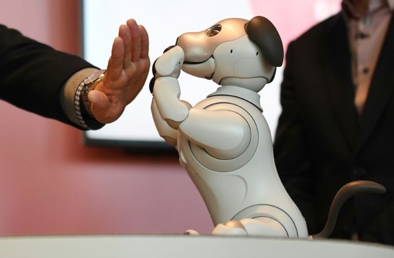 Positiv Sinis Væk Old dog, new tricks: Sony unleashes 'intelligent' robot pet