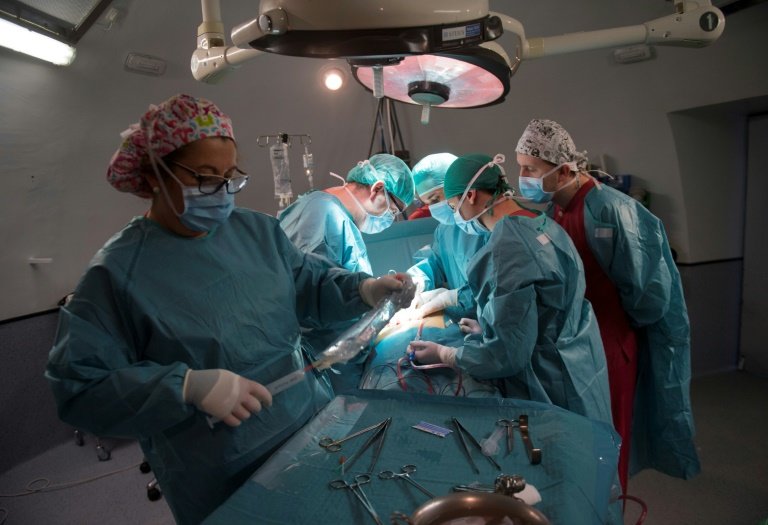 Brains, eyes, testes: off-limits for transplants?