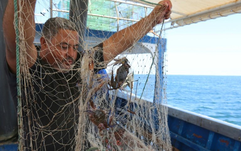 Tunisia fishermen turn tide to cash in on blue crab menace