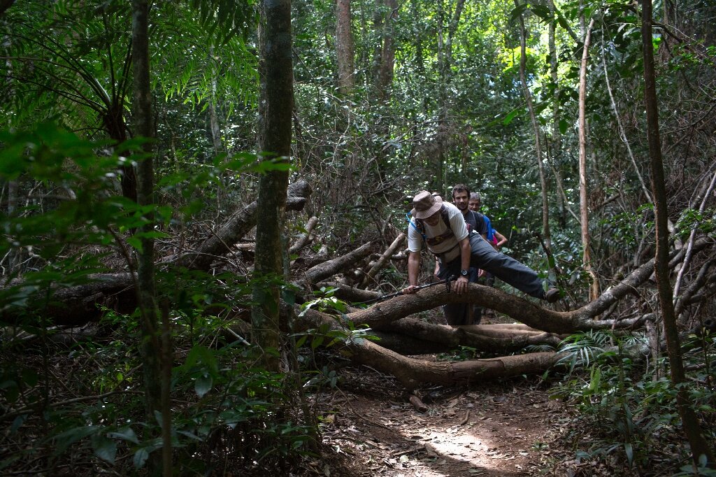 Trans-Brazil trail raises hopes for future of Atlantic Forest