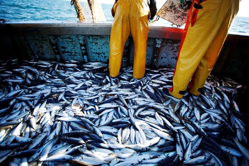 Palau changes ocean sanctuary plan to allow Japan fishing