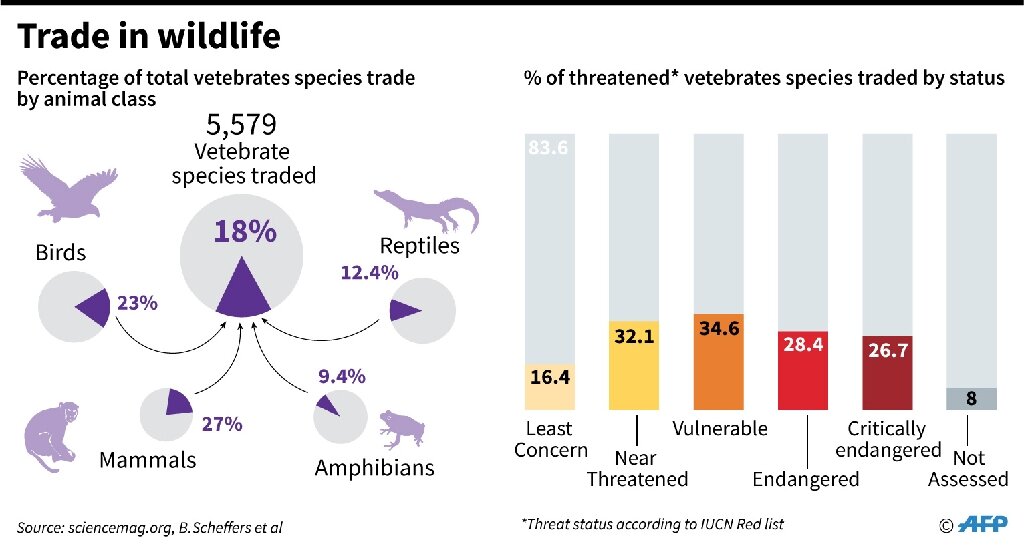 Exotic Animals As Pets Statistics