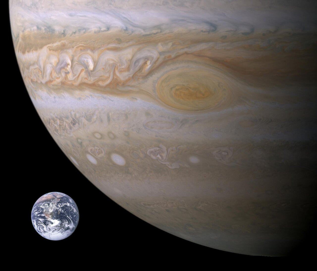 hænge århundrede maskine Jupiter's red spot thickness remains steady as surface area decreases