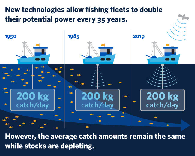 New technology allows fleets to double fishing capacity—and deplete fish  stocks faster