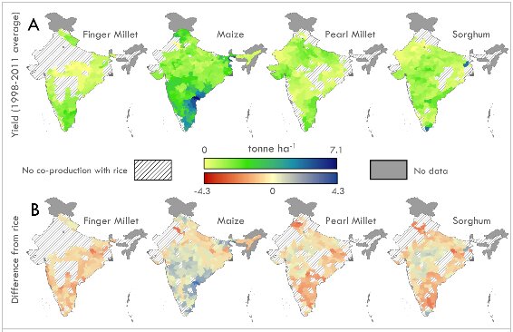 impact of climate change on agriculture in india case study