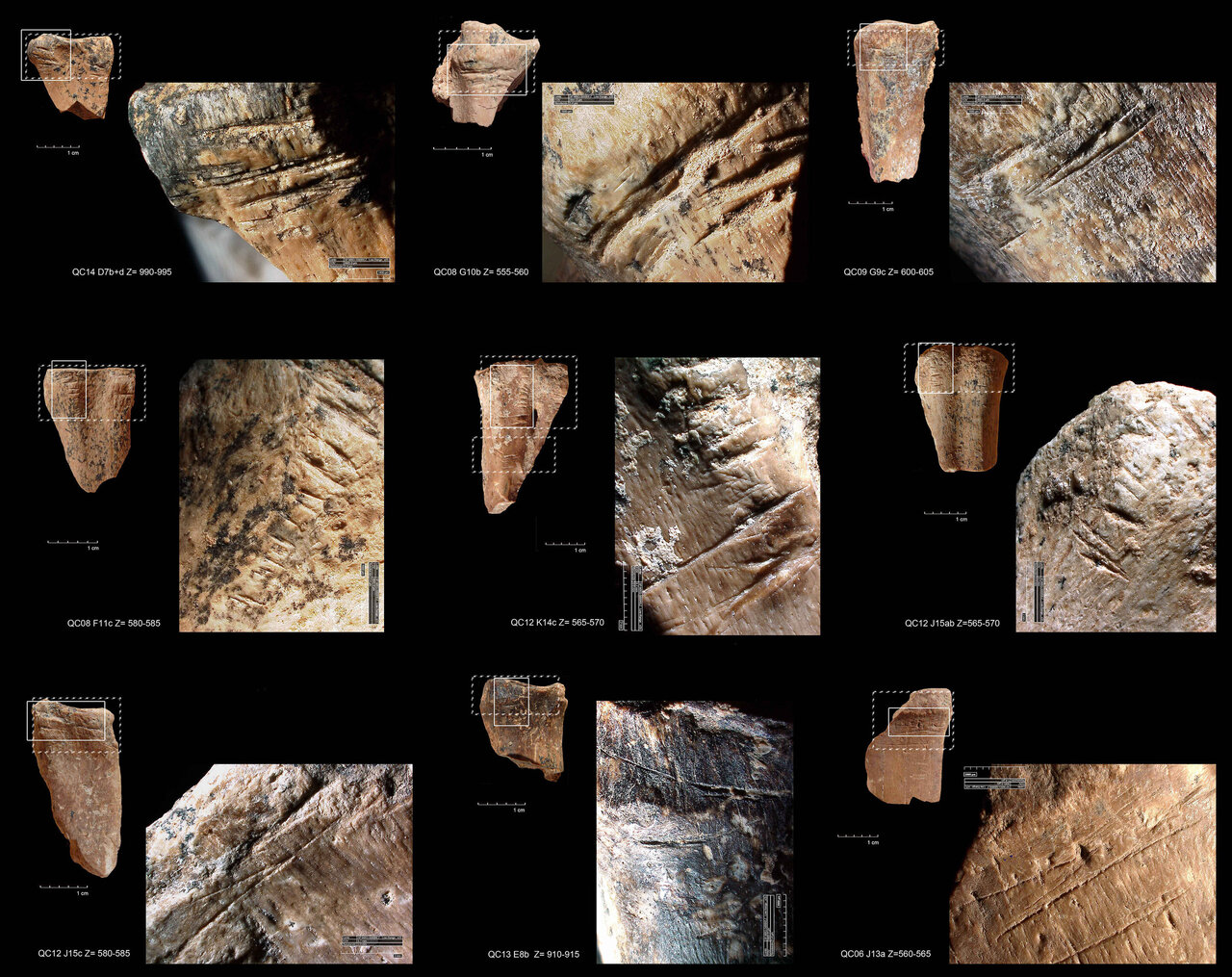 Prehistoric Ashdodites used chopping tools to eat bone marrow – study - The  Jerusalem Post
