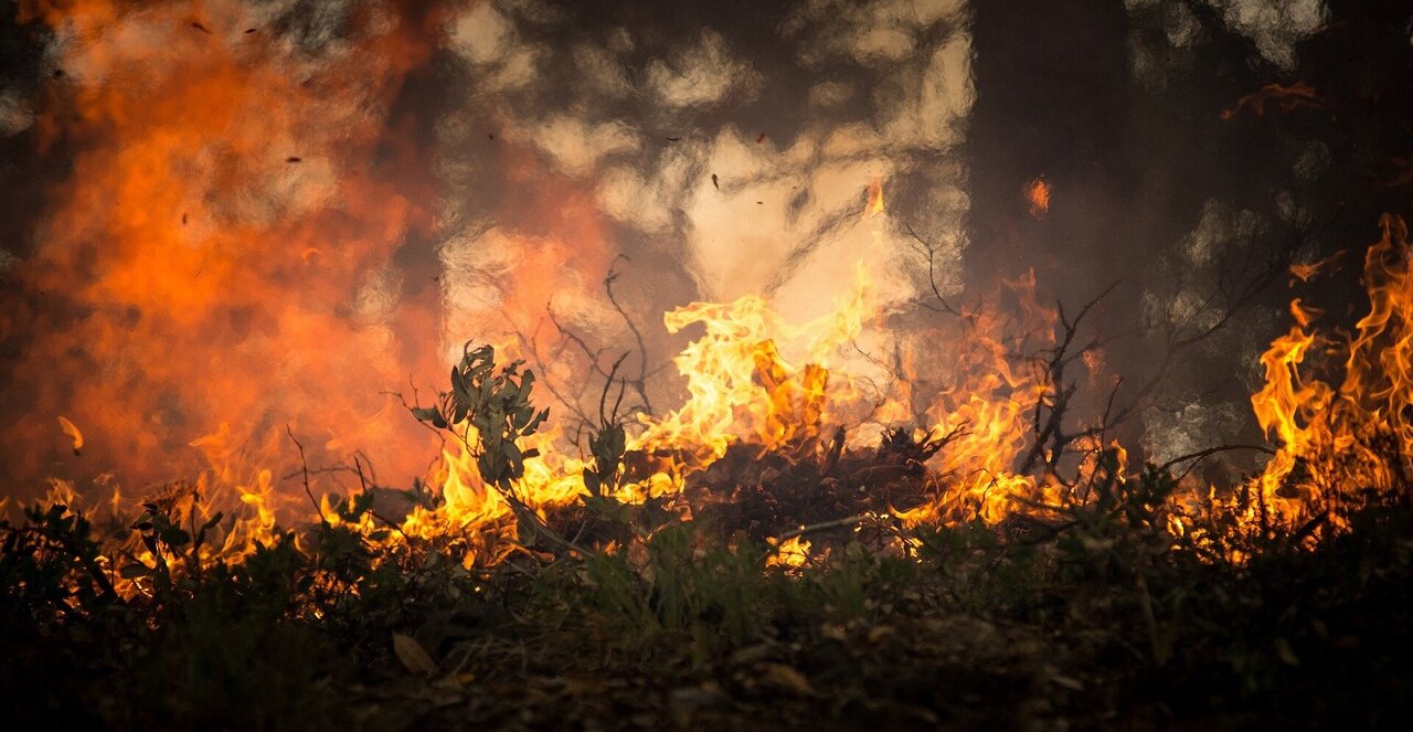 Record-breaking wildfires made North American air worse in 2020