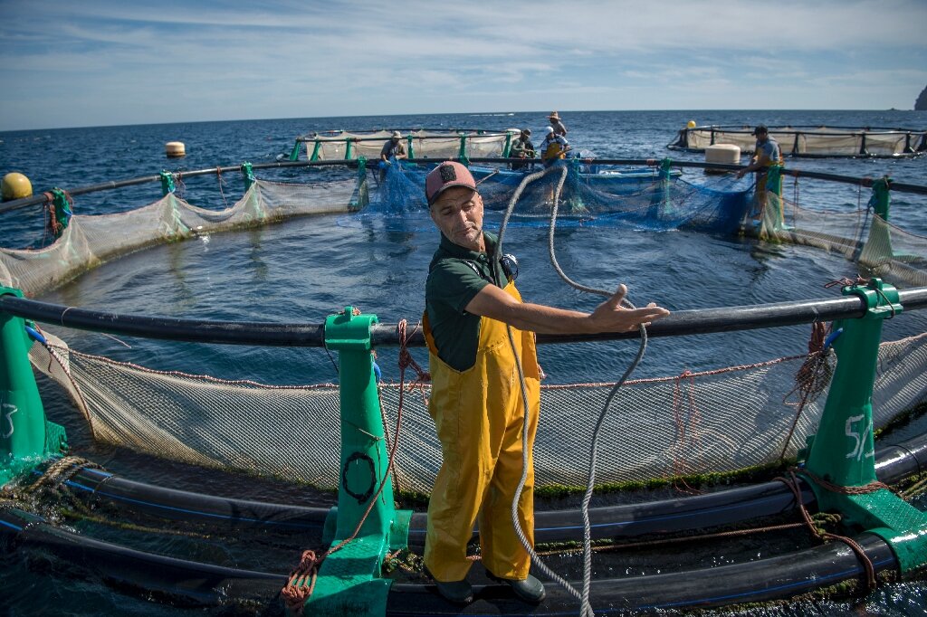 aquaculture-offers-lifeline-to-floundering-moroccan-fishermen