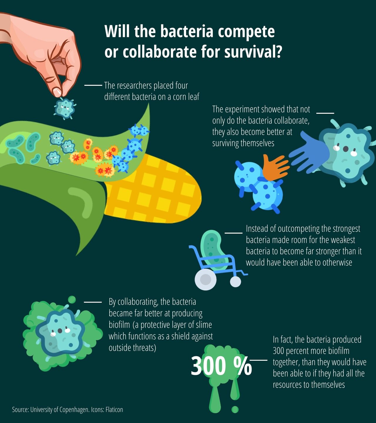 The World's Toughest Bacterium Can Withstand Anything From