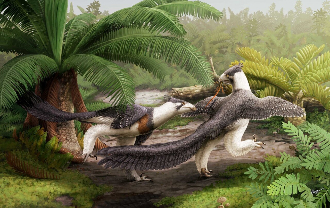 Bird-like dinosaur is oldest unearthed in North America.