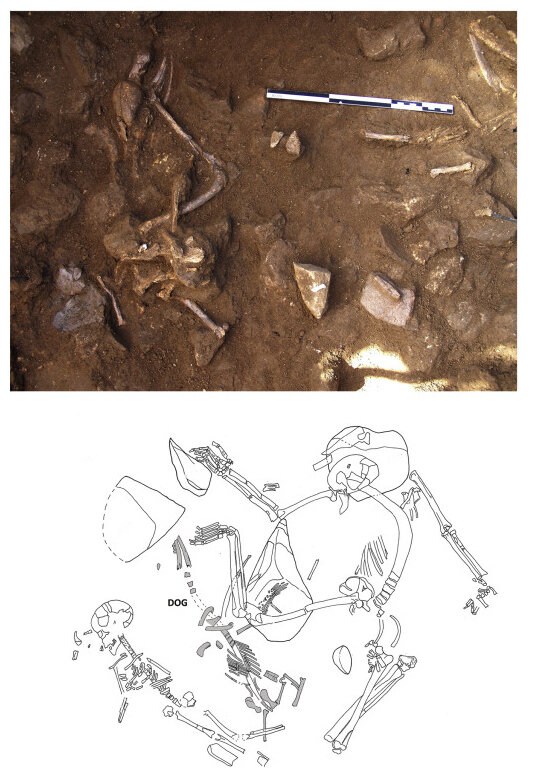 Newswise: Dog burial as common ritual in Neolithic populations of north-eastern Iberian Peninsula