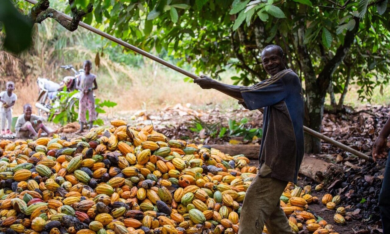 Fairtrade accused of failing to deliver benefits to African, fair