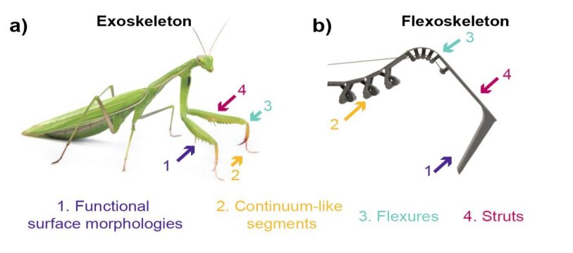 Flexoskeleton printing: Fabricating flexible exoskeletons for  insect-inspired robots