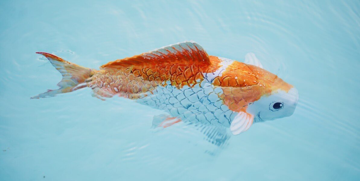For less than $200, engineering students built a realistic robotic fish