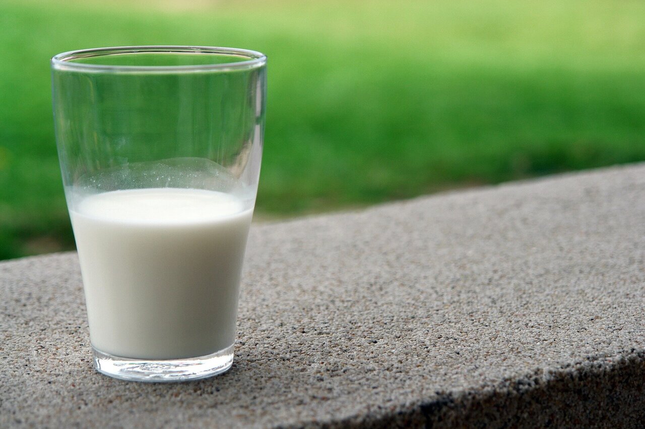 Goat Milk Formula Could Benefit Infant Gut Health Study,Gas Water Heater Repair Diy