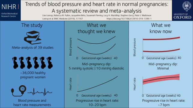 blood pressure changes during pregnancy 